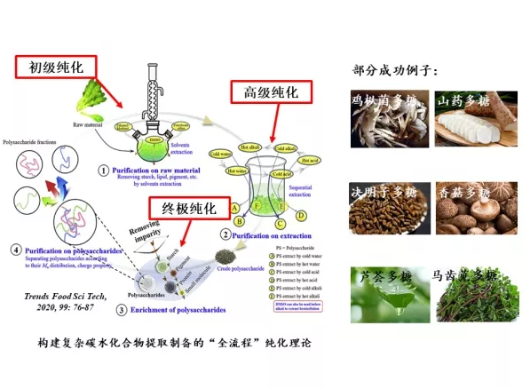 豪运国际·(中国)官方网站
