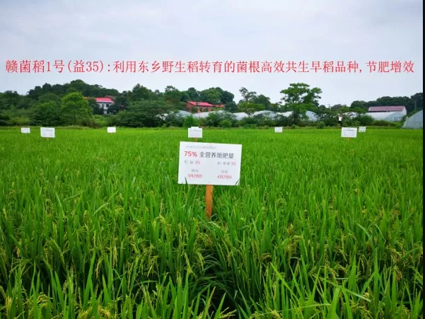 豪运国际·(中国)官方网站
